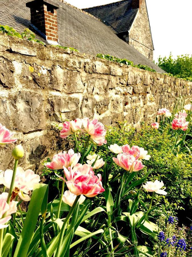 Gite La Petite Beurrerie Des Ardennes Celles  외부 사진