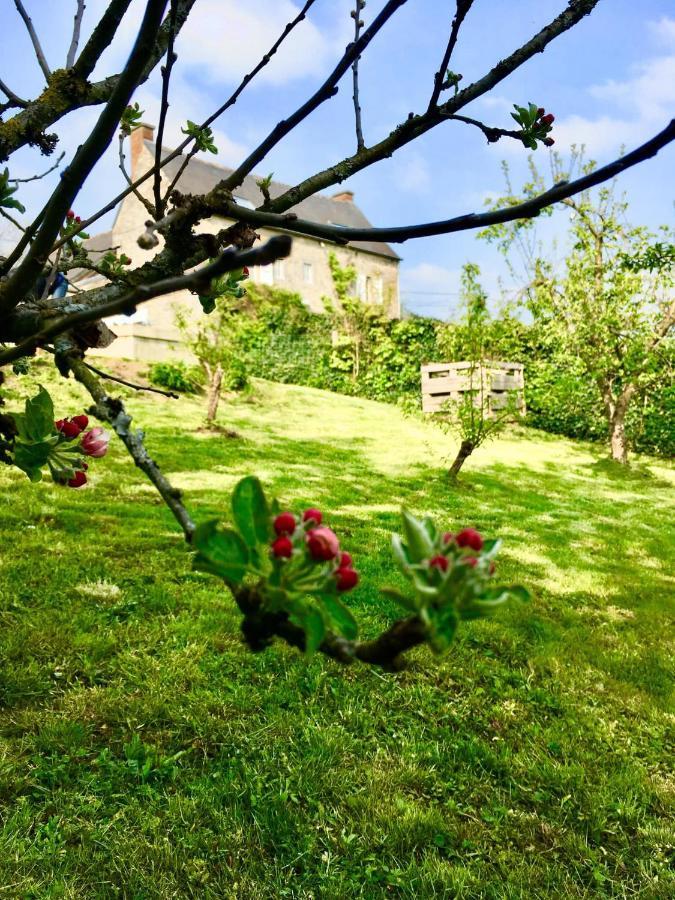 Gite La Petite Beurrerie Des Ardennes Celles  외부 사진