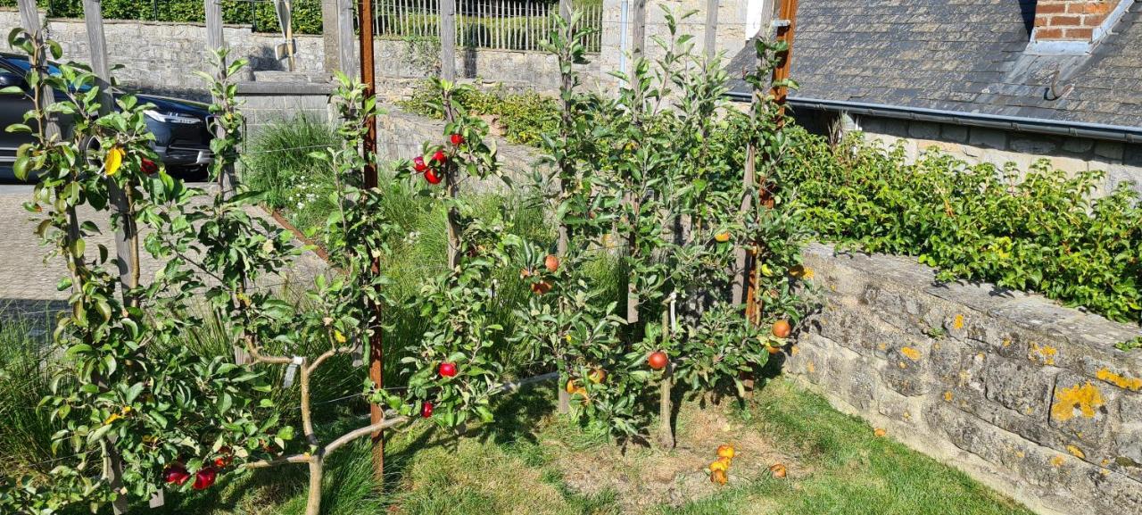 Gite La Petite Beurrerie Des Ardennes Celles  외부 사진