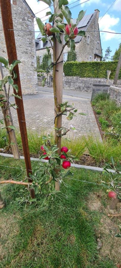 Gite La Petite Beurrerie Des Ardennes Celles  외부 사진