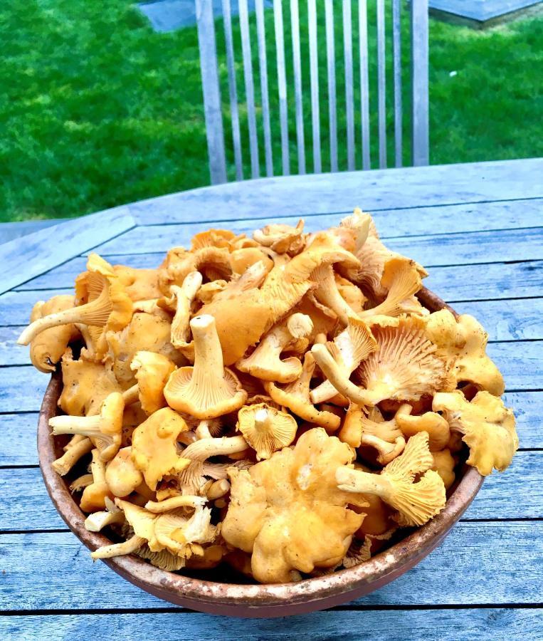 Gite La Petite Beurrerie Des Ardennes Celles  외부 사진